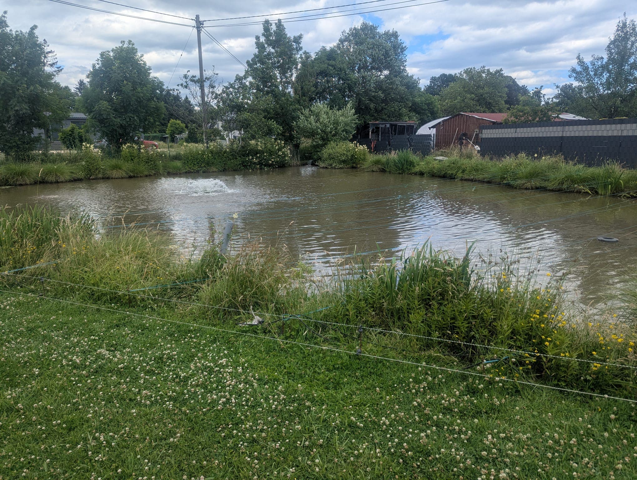 Der Weiher hinter dem Imbiss — Namensgeber „am Weiher“